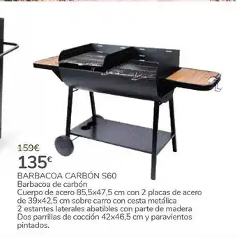 Carrefour Barbacoa Carbón S60 oferta