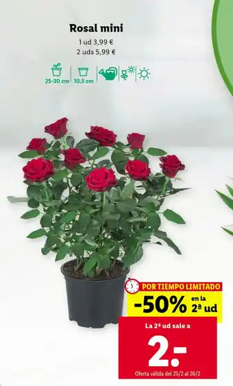 Lidl Rosal Mini oferta
