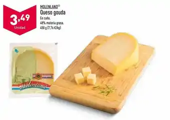 ALDI Molenland queso gouda oferta