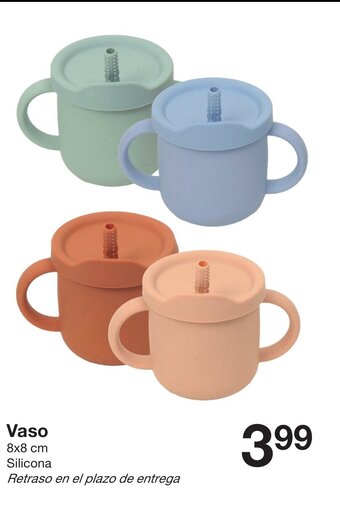 Zeeman Vaso oferta