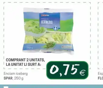 Enciam Iceberg