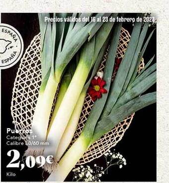 Gadis Puerros oferta