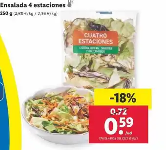 Lidl Ensalada 4 estaciones oferta