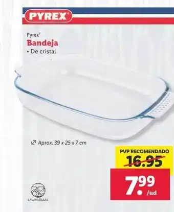 Lidl Bandeja pyrex oferta