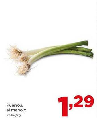 Alimerka Puerros el manojo oferta