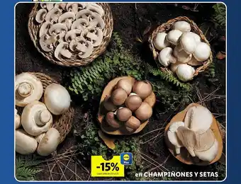 Lidl Champiñones y setas oferta