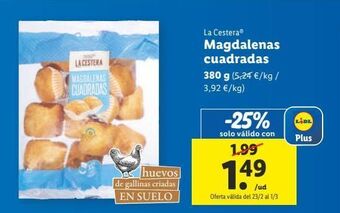 Lidl Magdalenas la cestera oferta