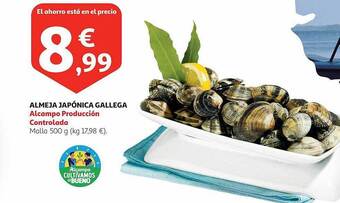 Alcampo Almeja japónica gallega oferta