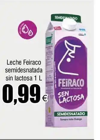FROIZ Leche feiraco oferta