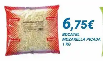 Dialsur Cash & Carry Mozzarella bocatel oferta
