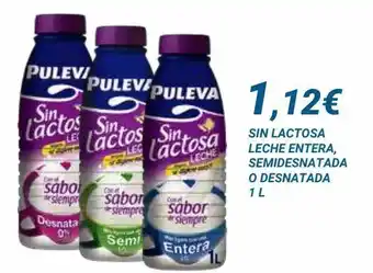 Dialsur Cash & Carry Leche sin lactosa puleva oferta