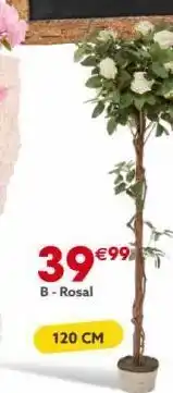 GiFi 39 €99 b-rosal 120 cm oferta