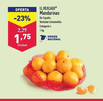 ALDI mandarinas oferta