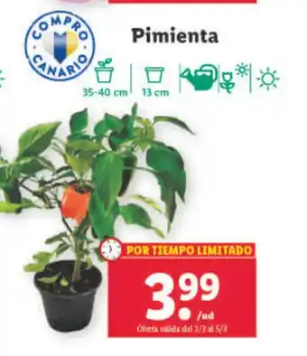 Lidl Pimienta oferta