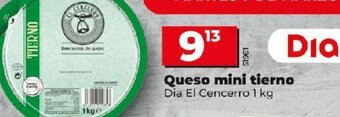 Dia Queso Mini Tierno oferta