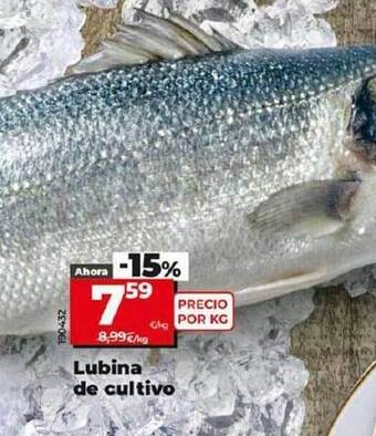 Dia Lubina de cultivo oferta