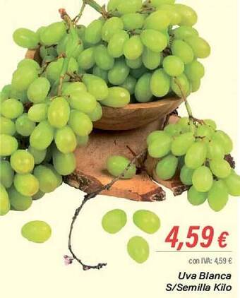 Cash Ifa Uva blanca s semilla oferta