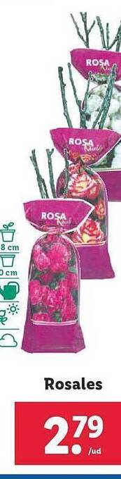 Lidl Rosales oferta