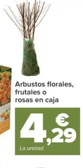 Carrefour Arbustos Florales Frutales o Rosas En caja oferta