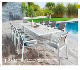 Cadena88 Con junto pavanne mesa 170-264x101xh.7 cm y 10 sillas con brazos oferta