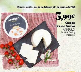Gadis Queso fresco suave angulo oferta