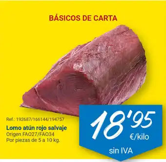 Makro Lomo atún rojo salvaje 10 kg. oferta