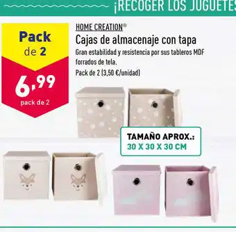 ALDI Home Creation Cajas De Almacenaje Con Tapa Pack de 2 oferta