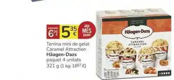 Supermercados Charter Terrina Mini De Gelat Caramel Attraction Häagen-dazs 321g oferta