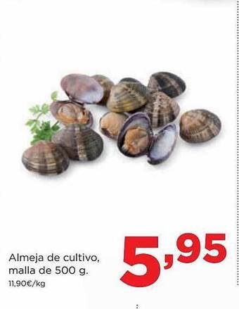 Alimerka Almeja de cultivo malla oferta