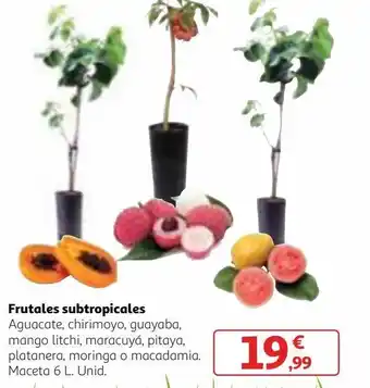 Alcampo Frutales oferta