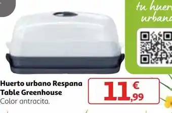 Alcampo Huerto urbano oferta