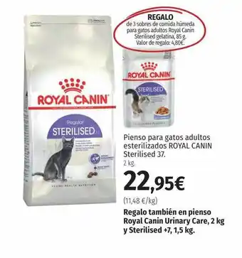 El Corte Inglés Pienso para gatos adultos esterilizados royal canin sterilised oferta