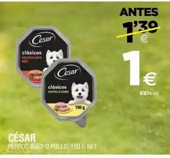 BM Supermercados César perros buey o pollo oferta