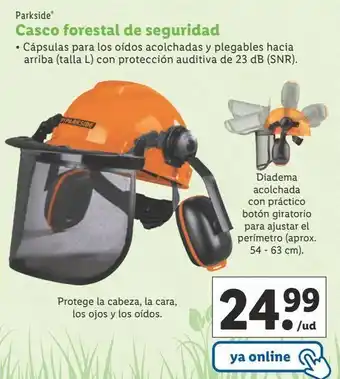 Lidl Casco forestal parkside oferta