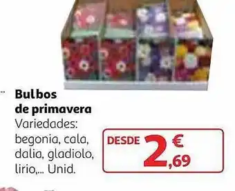 Alcampo Bulbos de primavera oferta