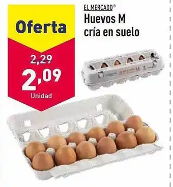 ALDI El mercado huevos m cría en suelo oferta