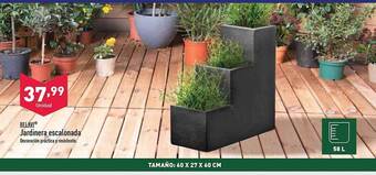 ALDI Belavi jardinera escalonada oferta