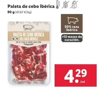 Lidl Paleta de Cebo Ibérica 90g oferta