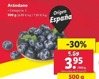Lidl Arándano 500 g oferta