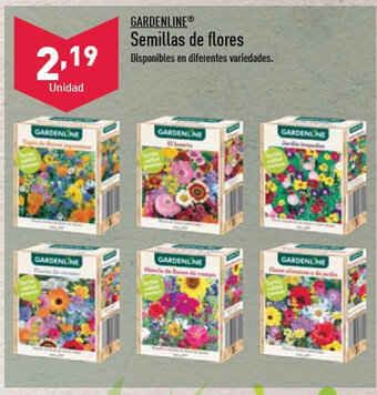 ALDI Semillas De Flores oferta