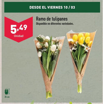 ALDI Ramo De Tulipanes oferta