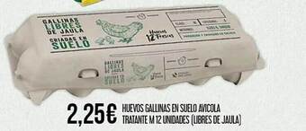 Claudio Huevos gallinas en suelo avicola tratante oferta