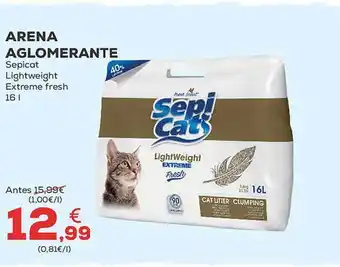 Kiwoko Arena aglomerante sepicat lightweight extreme fresh oferta