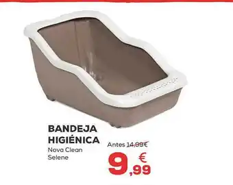 Kiwoko Bandeja higiénica nova clean selene oferta