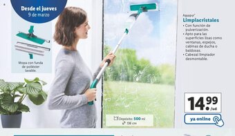 Lidl Limpiacristales oferta