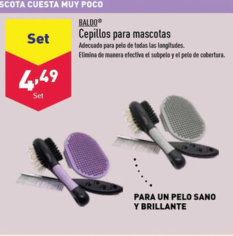ALDI Cepillos para mascotas oferta
