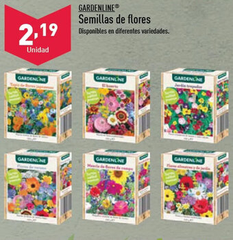 ALDI Semillas de flores oferta