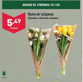 ALDI Ramo de tulipanes oferta