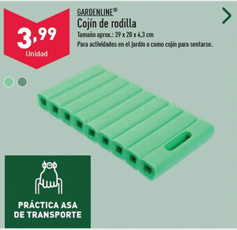 ALDI Cojín de rodilla oferta