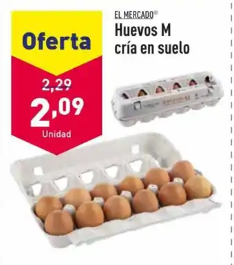 ALDI Huevos M cría en suelo oferta